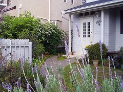 ���ł܂�ƃ��x���_�[