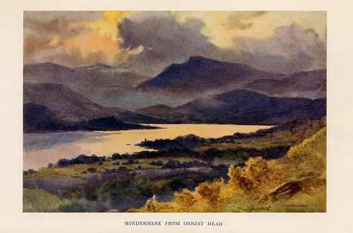 �C�M���X�@Windermere�΂̕��i���f�ڂ��Ă��܂��B