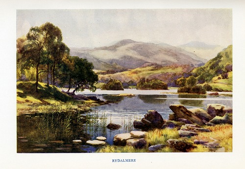 �C�M���X�@Rydalmere�̕��i���f�ڂ��Ă��܂��B