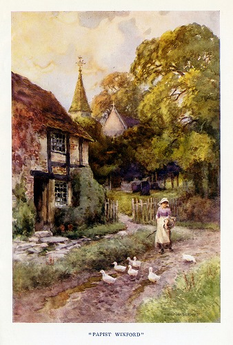 �C�M���X�@Papist Wixford�̕��i���f�ڂ��Ă��܂��B