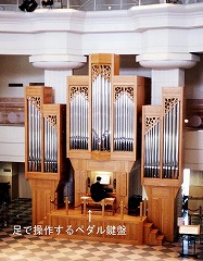 �I���K���̎ʐ^