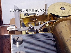 �K�o�i�[�̉H����