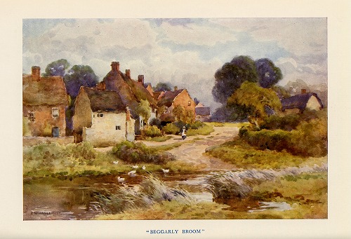 �C�M���X�@Becgarly Broom�̕��i���f�ڂ��Ă��܂��B