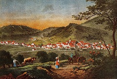 �T���g�E�N���������i