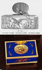 �V���M���O�E�o�[�h�E�{�b�N�X