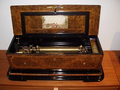 �Z�~�w���R�C�_���̃P�[�X